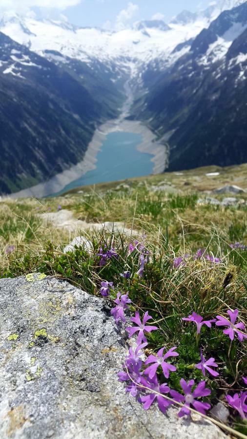 Hotel Pension Eichenhof Ried im Zillertal Buitenkant foto