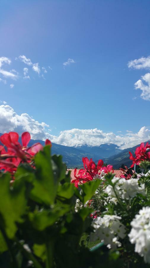 Hotel Pension Eichenhof Ried im Zillertal Buitenkant foto